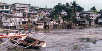 Bohol shore at low tide