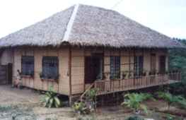 Morys' nipa hut