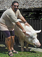 John Mory and pig on farm