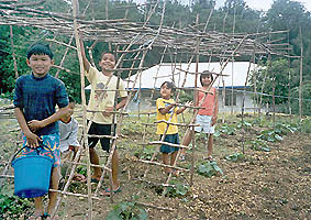 Kids in the garden